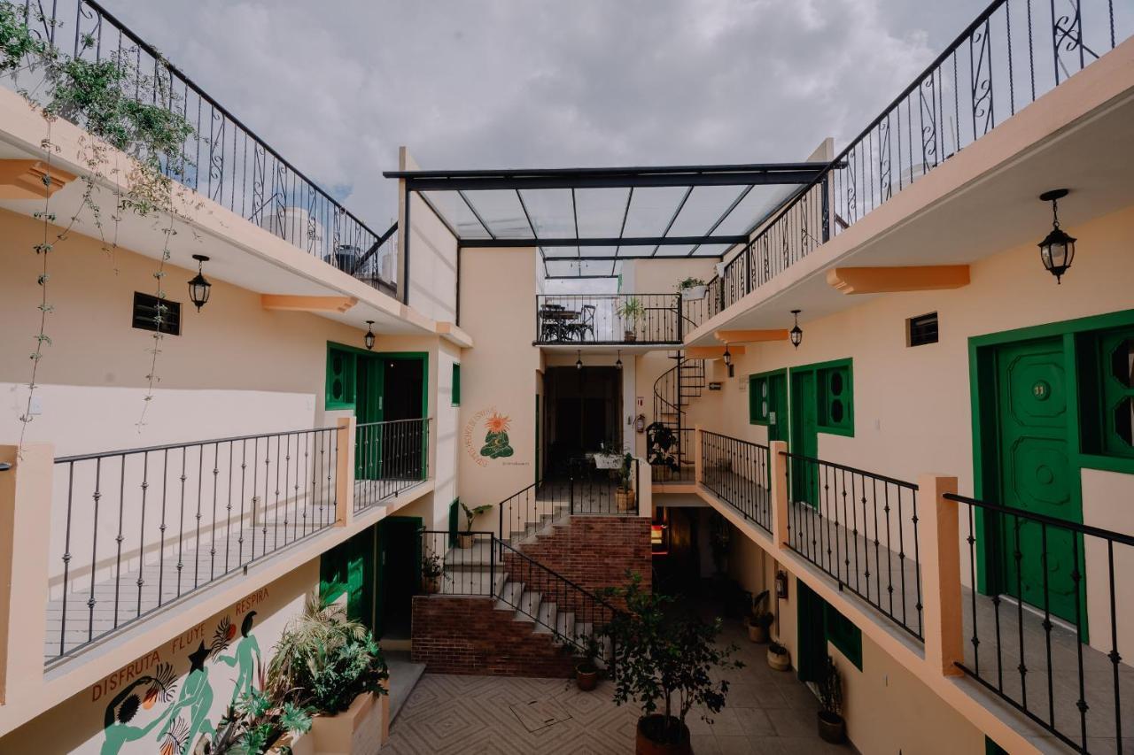 Hotel Cielo Y Selva, San Cristóbal de Las Casas Eksteriør bilde